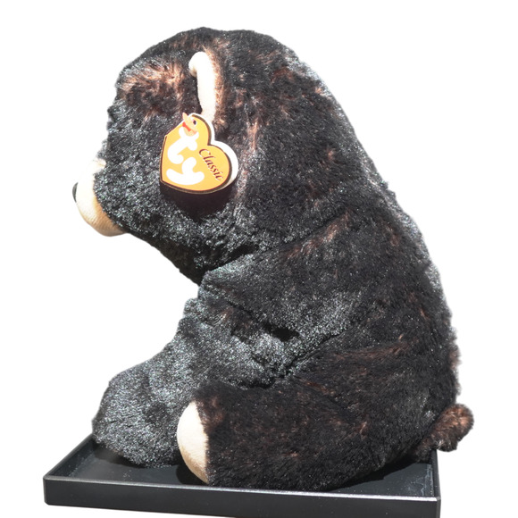 TY Medium Classic Plush KODI Kodiak Black Bear Medium 10" NEW Stuffed Animal Toy - Picture 13 of 16